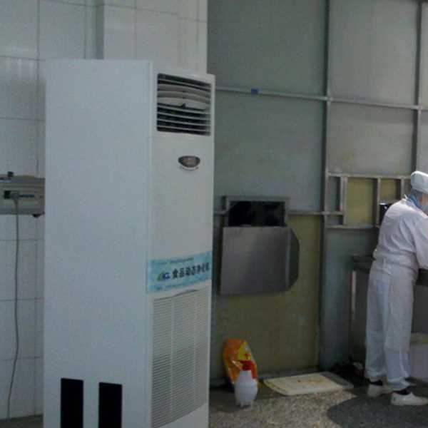 宜昌食品正负离子空气杀菌器